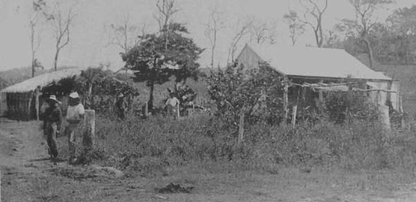 pi cottage