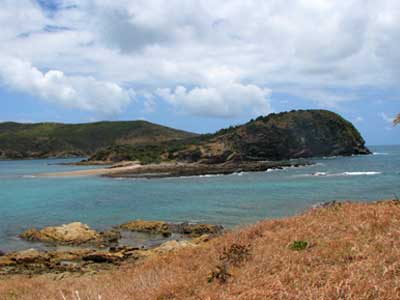 pumpkin islandouter