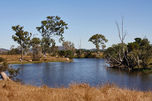 hedlowcreek