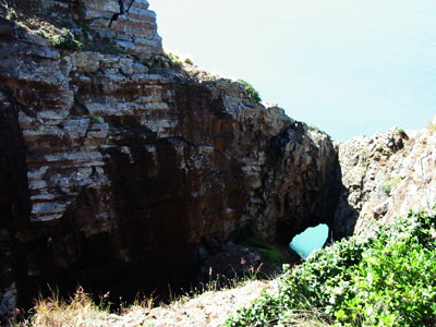 blowhole