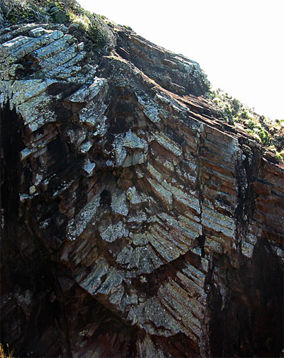 fan rock 3
