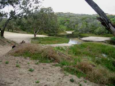 freshwater ck