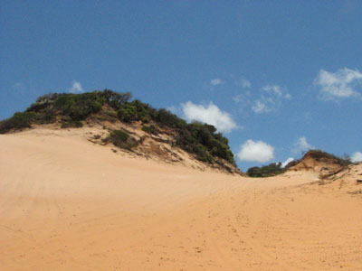 orange dunes