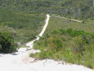 return track