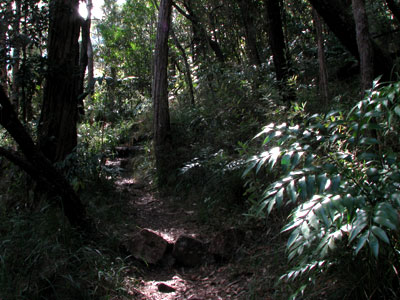 upper stonytrack