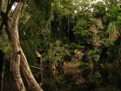 waterparkcreek